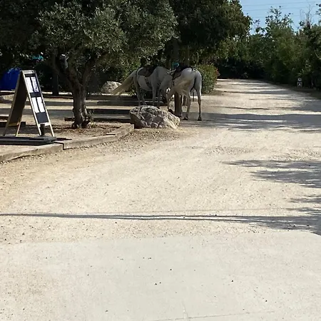 L' Arlesienne Campeggio 3*
