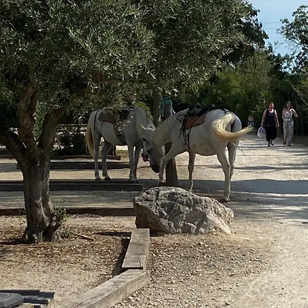 L' Arlesienne Campeggio Arles